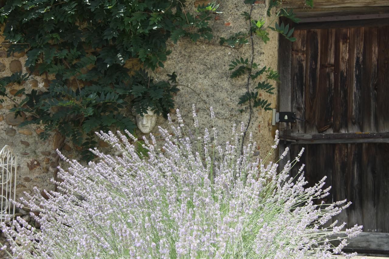 Vintage * Lahitte-Toupiere